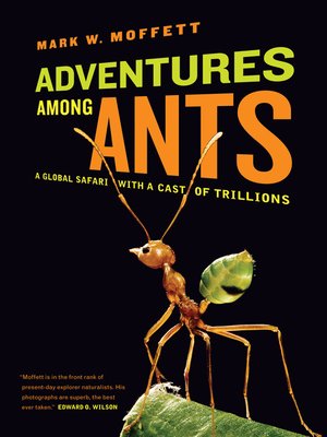 cover image of Adventures among Ants